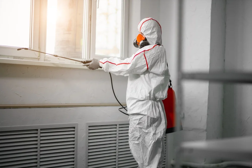 Professional mold remediation services in Garrison, UT